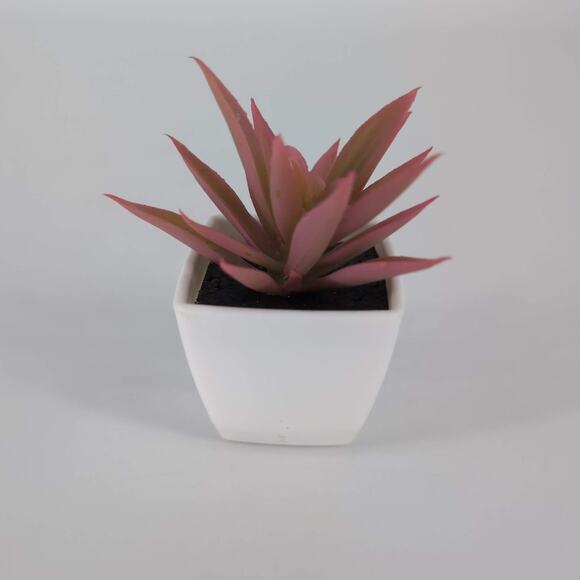 Mini Fake Faux Artificial Pink Succulent Potted Plant in Plastic White Pot - GUC - Picture 6 of 10